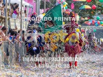 Detalhes da foto #40701