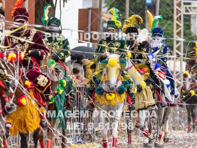 Detalhes da foto #88803