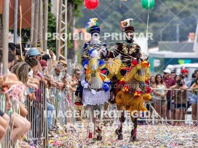 Detalhes da foto #39045