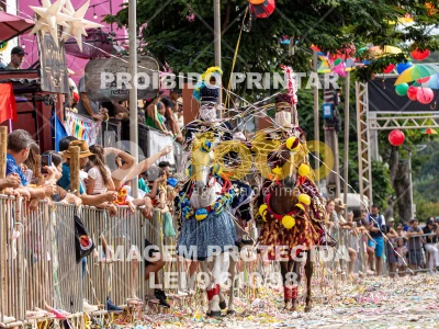 Detalhes da foto #51942