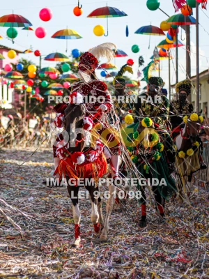 Detalhes da foto #70046