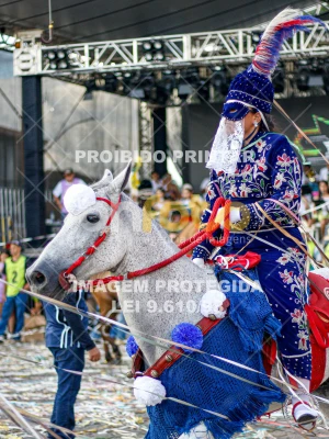 Detalhes da foto #46398