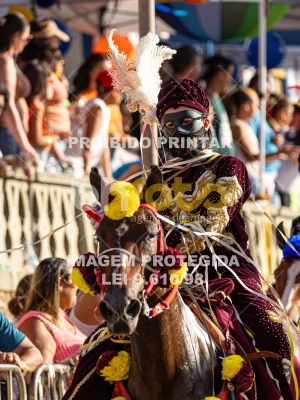 Detalhes da foto #97808