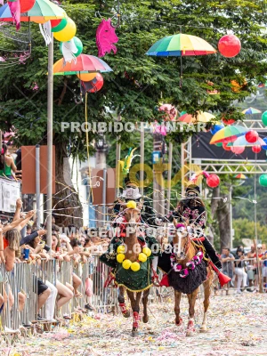 Detalhes da foto #11204