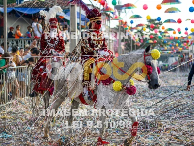 Detalhes da foto #60767