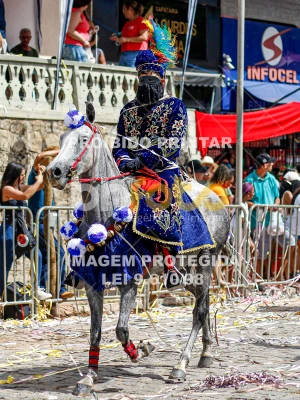 Detalhes da foto #31724