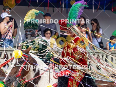 Detalhes da foto #72514