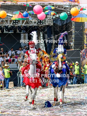 Detalhes da foto #48937