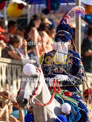 Detalhes da foto #20385