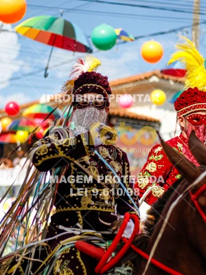 Detalhes da foto #29454