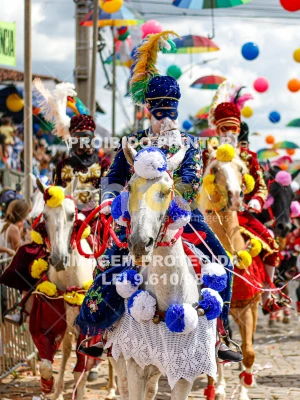 Detalhes da foto #78055