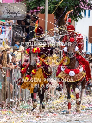 Detalhes da foto #92225