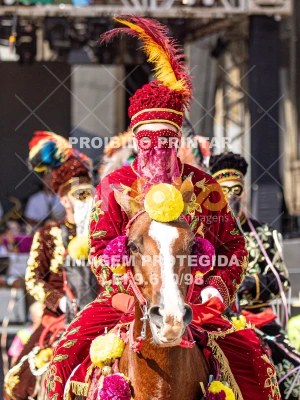 Detalhes da foto #32460