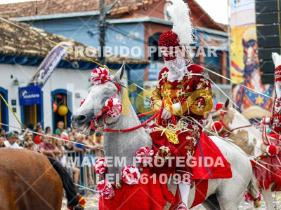 Detalhes da foto #75456