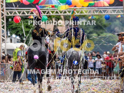 Detalhes da foto #47418