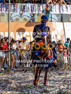 Detalhes da foto #63909