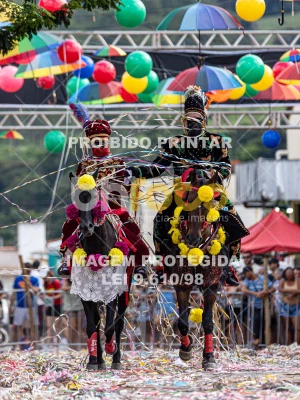 Detalhes da foto #75202