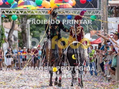 Detalhes da foto #75071