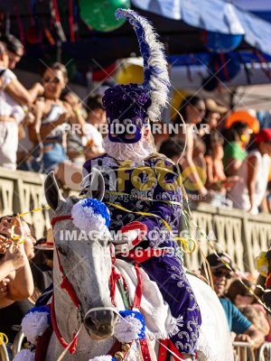 Detalhes da foto #84661