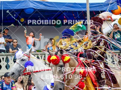 Detalhes da foto #25480