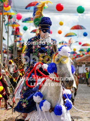 Detalhes da foto #85312