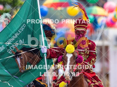 Detalhes da foto #45292