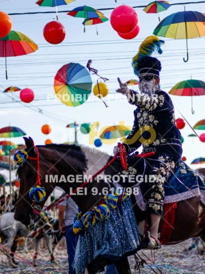 Detalhes da foto #37495