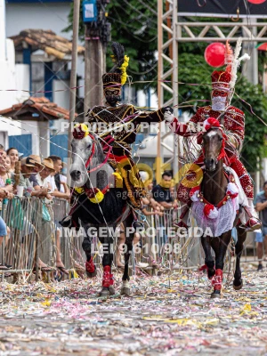 Detalhes da foto #74291