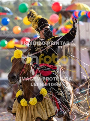 Detalhes da foto #80059