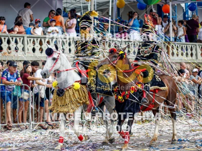 Detalhes da foto #63808