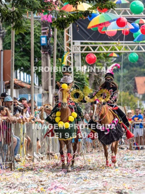 Detalhes da foto #97967