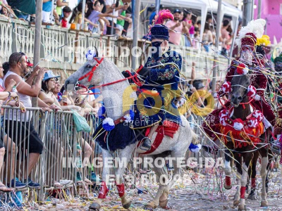 Detalhes da foto #64436