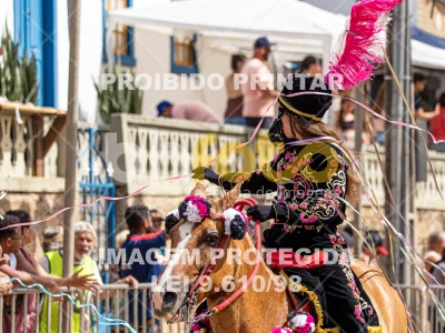 Detalhes da foto #44760