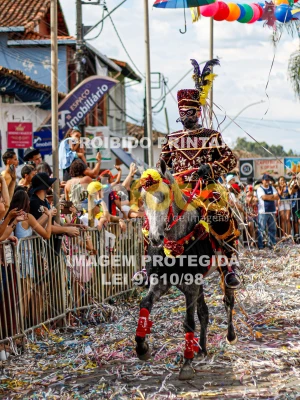 Detalhes da foto #32058