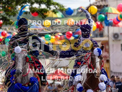 Detalhes da foto #47974