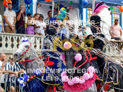 Detalhes da foto #85021