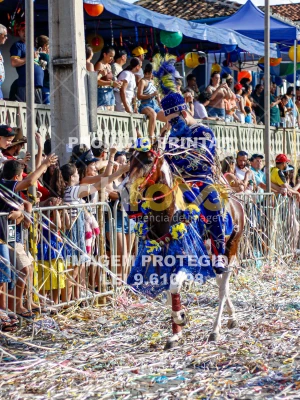 Detalhes da foto #19950