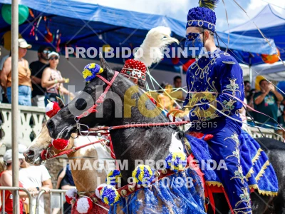 Detalhes da foto #31526