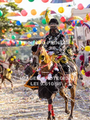 Detalhes da foto #92438