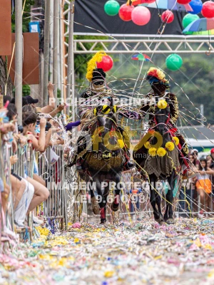 Detalhes da foto #34416