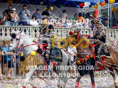 Detalhes da foto #54402