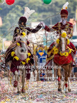 Detalhes da foto #46562