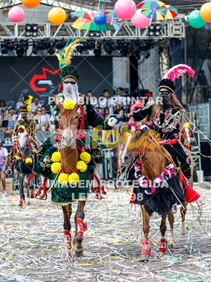 Detalhes da foto #86667