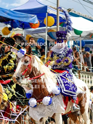 Detalhes da foto #28897