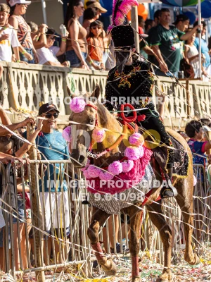 Detalhes da foto #78299