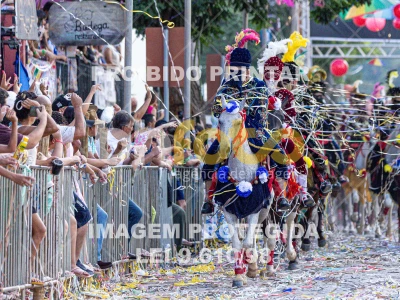 Detalhes da foto #76622