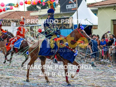 Detalhes da foto #93403