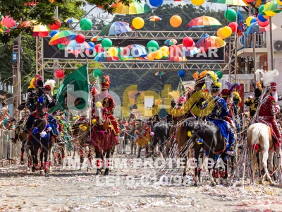 Detalhes da foto #45331