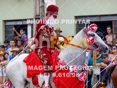 Detalhes da foto #94642