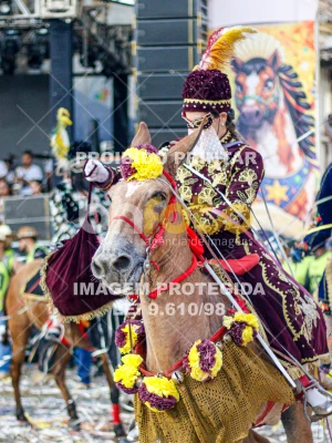 Detalhes da foto #94777